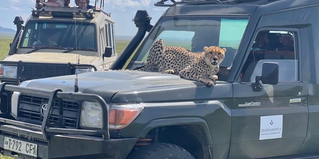 kenya tourism ecosystem safari economy investment