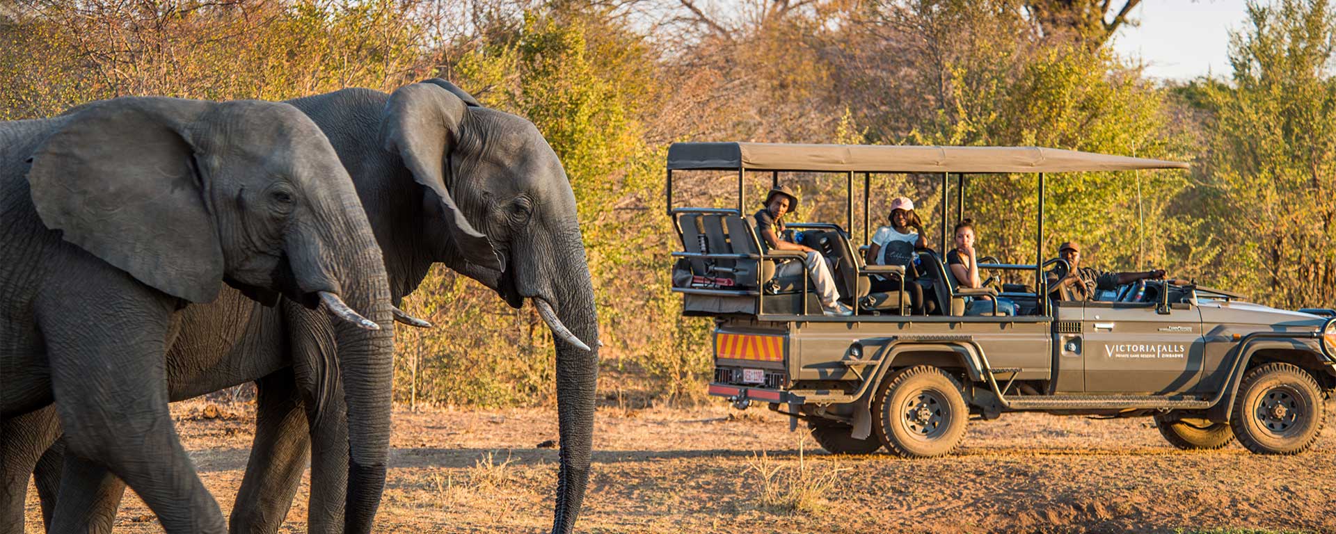 Africa’s Iconic Safari Destinations: The Magic of the Serengeti and Maasai Mara